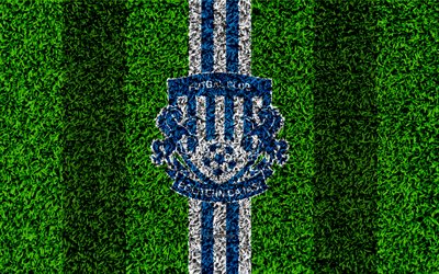 FC Politehnica Iasi, 4k, logo, football lawn, Romanian football club, blue and white lines, grass texture, emblem, Liga I, Iasi, Romania, football