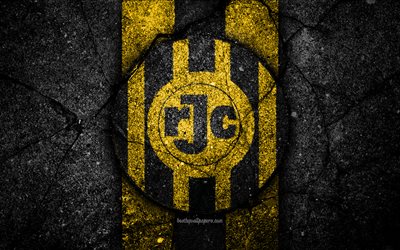 4k, Roda FC, logo, T&#252;rk, futbol, grunge, Hollanda, Futbol Kul&#252;b&#252;, Roda, asfalt doku, FC Roda