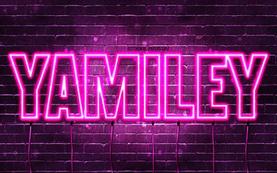 Happy Birthday Yamiley, 4k, pink neon lights, Yamiley name, creative, Yamiley Happy Birthday, Yamiley Birthday, popular french female names, picture with Yamiley name, Yamiley