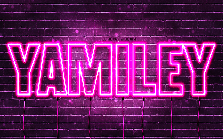 Happy Birthday Yamiley, 4k, pink neon lights, Yamiley name, creative, Yamiley Happy Birthday, Yamiley Birthday, popular french female names, picture with Yamiley name, Yamiley