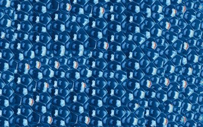 blue bubbles texture, water texture, bubbles texture, background with bubbles, blue bubbles background