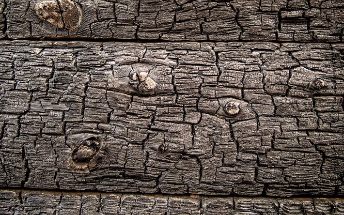 bruciata la texture del legno, in legno Nero texture, bruciato tavole di legno, texture, legno carbonizzato texture