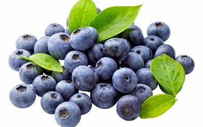 blueberries, berries, blueberries on a white background, berries on a white background, healthy berries