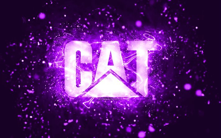 caterpillar-violettes logo, 4k, cat, violette neonlichter, kreativer, violetter abstrakter hintergrund, caterpillar-logo, cat-logo, marken, caterpillar