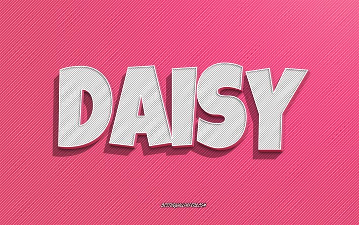 Daisy, fond de lignes roses, fonds d&#39;&#233;cran avec des noms, nom Daisy, noms f&#233;minins, carte de voeux Daisy, dessin au trait, photo avec nom Daisy