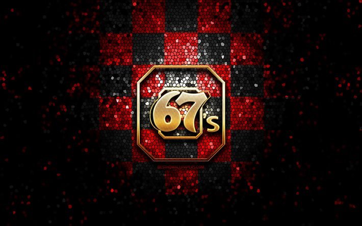 Ottawa 67s, glitterlogotyp, OHL, r&#246;d svart rutig bakgrund, hockey, kanadensiskt hockeylag, Ottawa 67s logo, mosaikkonst, Kanada