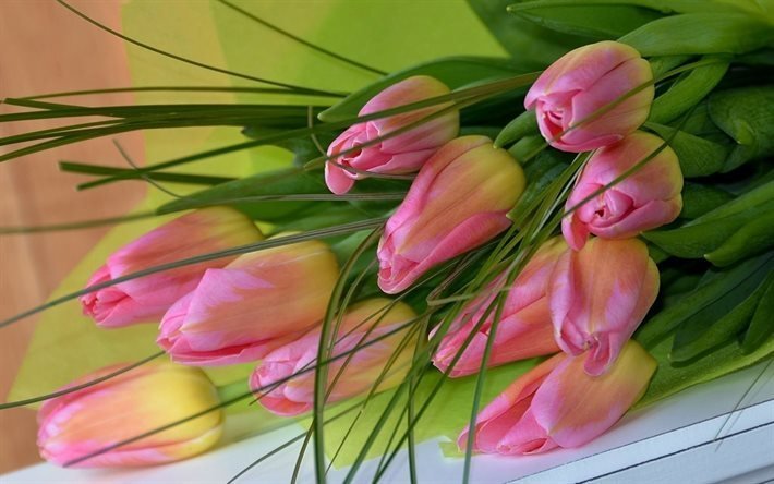 flores, flora, los tulipanes