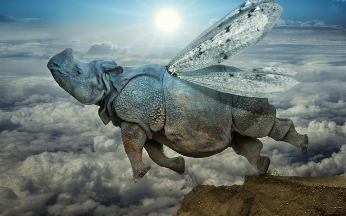 clouds, mountains, dawn, winged rhino