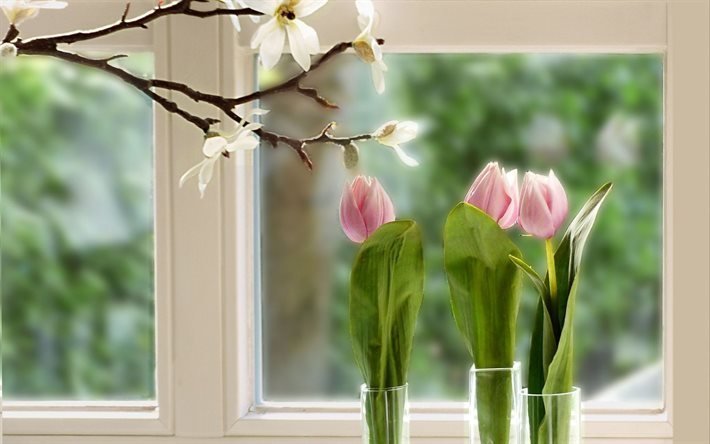 flores, tulipas, peitoril