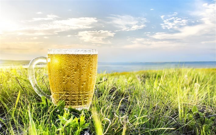beer, glass of beer, drinks, sun