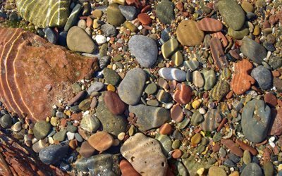 havet, sommar, f&#228;rgglada stenar