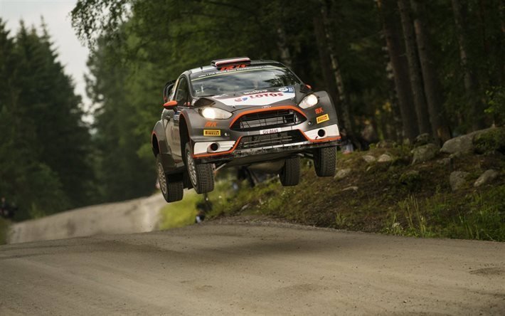 WRC, Ford Fiesta, Rally, ra&#231;a, carro pulando, carros voadores