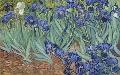1889, holl&#228;ndska post-impressionistisk konstn&#228;r, canvas, iris, olja