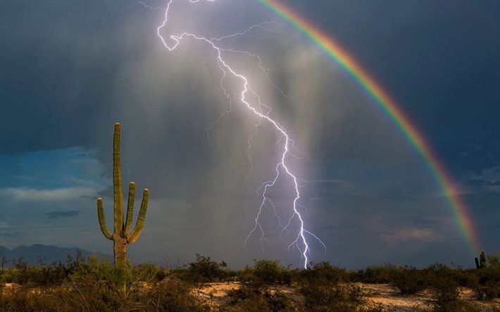 arcobaleno, deserto dell&#39;arizona, cactus, fulmine