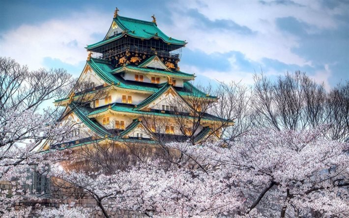 castle, spring, cherry blossoms, osaka, japan