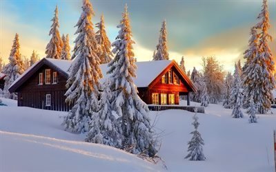 inverno, floresta, casa de madeira