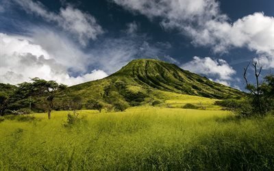 koko crater, island of oahu, hawaii