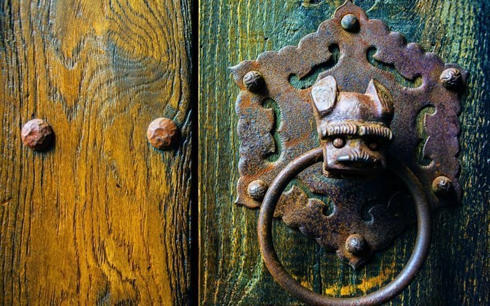 puerta vieja, la madera