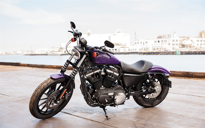 Harley-Davidson Sportster Iron XL 883N, 2018 bikes, american motorcycles, Harley-Davidson