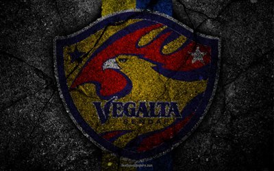 Vegalta Sendai, logo, art, J-League, soccer, football club, FC Vegalta Sendai, asphalt texture