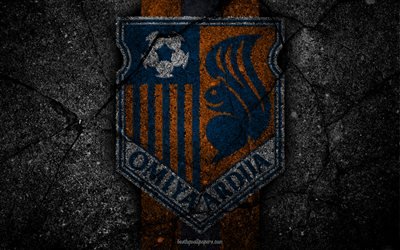 Omiya Ardija, logo, art, J-League, soccer, football club, FC Omiya Ardija, asphalt texture