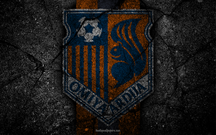 Omiya Ardija, logo, sanat, J-League, futbol, futbol kul&#252;b&#252;, FC Omiya Ardija, asfalt doku