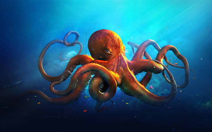 Octopus, underwater world, art, creative