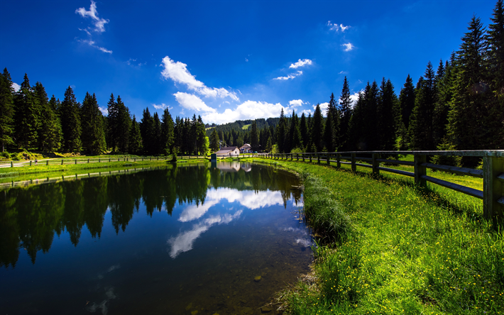 4k, Slovenia, lake, forest, summer