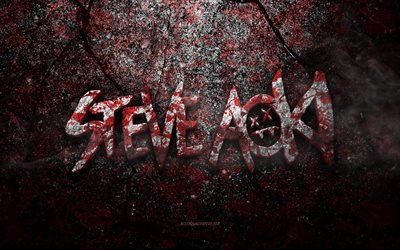 Logo de Steve Aoki, art grunge, logo de pierre de Steve Aoki, texture de pierre rouge, Steve Aoki, texture de pierre de grunge, embl&#232;me de Steve Aoki, logo 3d de Steve Aoki