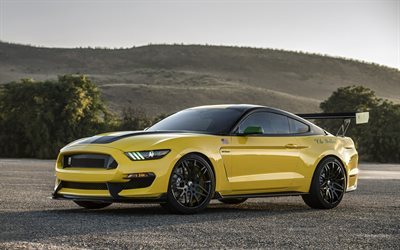 Ford Mustang GT350, 2016, Shelby, sarı Ford, Mustang tuning