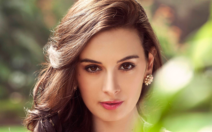 Evelyn Sharma, attrice Indiana, ritratto, make-up, le donne Indiane, modelli