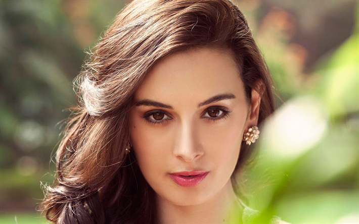 Evelyn Sharma, Indian actress, portrait, make-up, Indian women, models