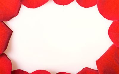 rosso petali di rose telaio, 4k, sfondo bianco, creativo, petali di cornici, di petali di rose