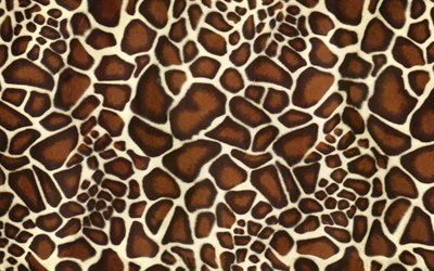 4k, giraffe textur, makro, die giraffe und der struktur der haut, braune flecken, textur, giraffe haut, giraffe, hintergrund, zebra wolle, giraffe leder-hintergrund