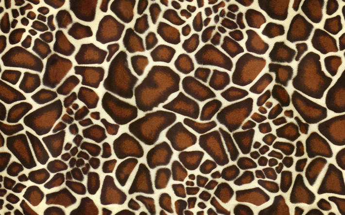 4k, giraff konsistens, makro, giraff hudens struktur, brun blotting konsistens, giraff hud, giraff bakgrund, zebra ull, giraff l&#228;der bakgrund