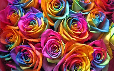 colorful roses, macro, rainbow flowers, bouquet of roses, bokeh, colorful flowers, roses, buds, colorful roses bouquet, beautiful flowers, backgrounds with flowers, colorful backgrounds