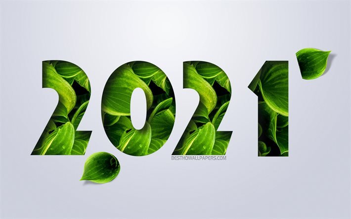Concepts 2021, bonne ann&#233;e 2021, concepts &#233;cologiques, nouvel an 2021, feuilles vertes, art cr&#233;atif, fond &#233;cologique 2021