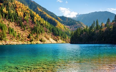 forest lake, emerald lake, forest, autumn, nature reserve, China, Jiuzhaigou