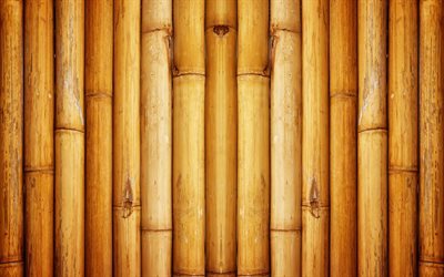 bambu, brown bambu, parede de bambu