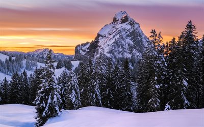 paisagem de inverno, montanhas, p&#244;r do sol, floresta, neve, floresta do inverno