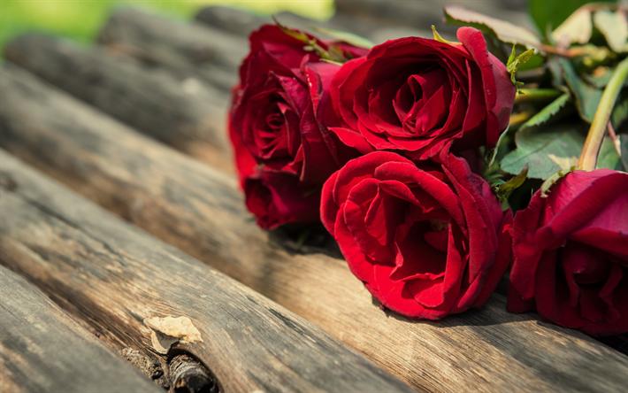 Descargar fondos de pantalla rosas rojas, ramo de rosas, flores de color  rojo, romance libre. Imágenes fondos de descarga gratuita