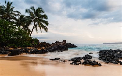 Hawaii, ocean, beach, palmer, sand, tropiska &#246;ar, USA