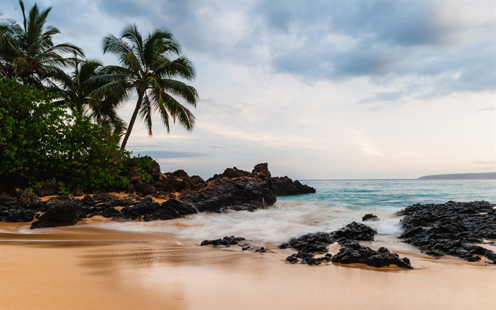 ハワイ, 海洋, ビーチ, ヤシの木, 砂, 熱帯の島, 米国