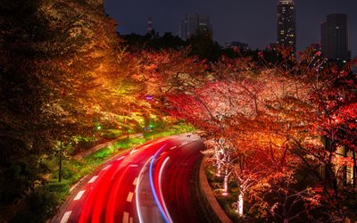 Tokio, 4k, syksy, tiet, liikennevalot, Japani, Aasiassa