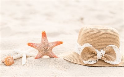beach accessories, summer vacation horse, beach, sand, hat, starfish, seashells