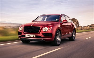 Bentley Bentayga V8, 2018, twin-turbocharged, luxurious red SUV, burgundy Bentayga, Bentley