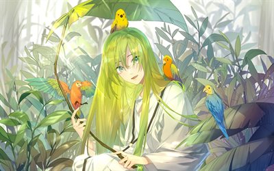 Enkidu, papagaios, personagens de anime, manga, Sorte Grande Ordem