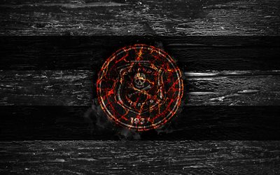 Orlando Pirates FC, fire logo, Premier Soccer League, white and black lines, South African football club, grunge, football, soccer, Orlando Pirates logo, wooden texture, South Africa