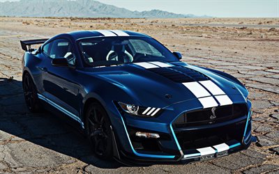 Ford Mustang, Shelby GT500, 2019, blue sports car, new blue Mustang, white lines, american sports cars, Ford