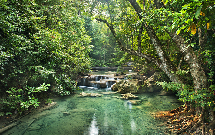 rainforest, river, waterfalls, trees, jungle, forest